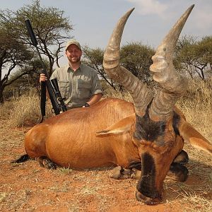 South Africa Hunt Red Hartebeest