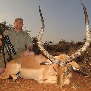 Impala Hunt South Africa