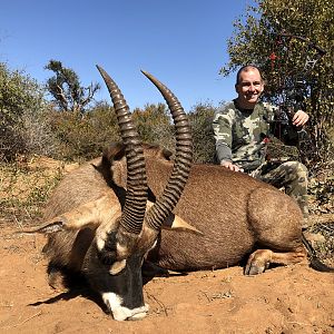 Bow Hunting Roan in South Africa