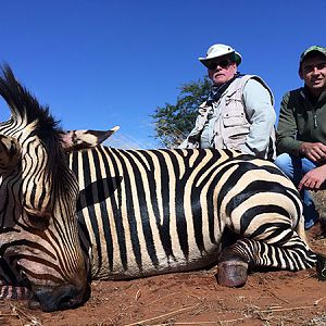 Mountain Zebra Hunting South Africa