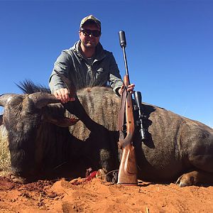 Hunt Blue Wildebeest in South Africa