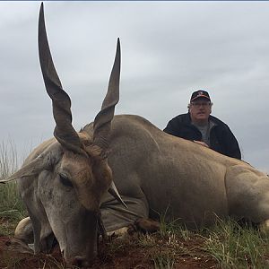 South Africa Hunt Eland