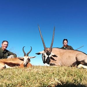 Springbok & Gemsbok Hunt South Africa