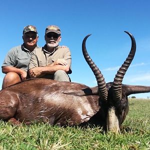 South Africa Hunt Black Springbok