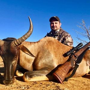 South Africa Hunt Tsessebe
