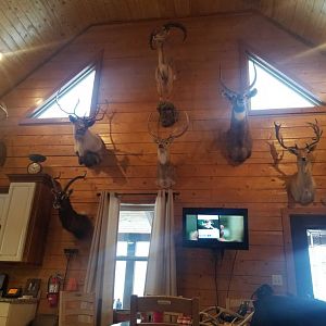 Hunting Lodge Texas USA