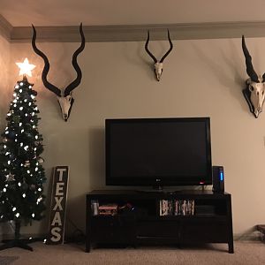 Kudu,  Impala & Eland European Skull Mount