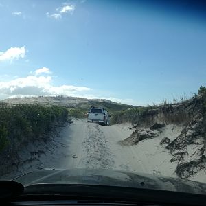 Drone-fishing for Bronze Whalers at Gansbaai, South Africa