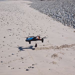 Drone-fishing for Bronze Whalers at Gansbaai, South Africa