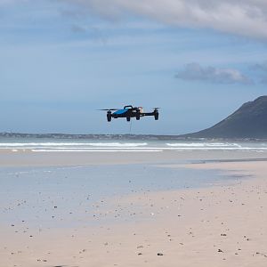 Drone-fishing for Bronze Whalers at Gansbaai, South Africa