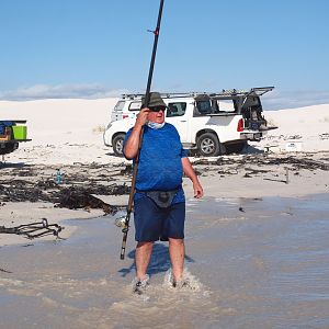 Drone-fishing for Bronze Whalers at Gansbaai, South Africa