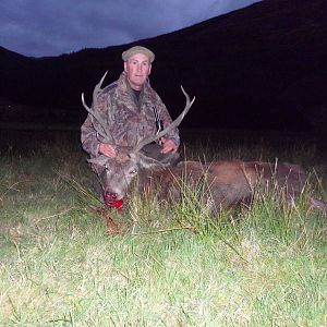 Red Stag Hunting in Scotland