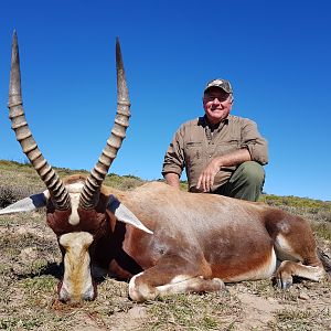 Hunt Blesbok in South Africa