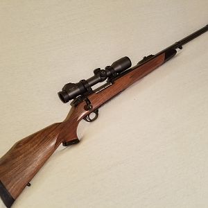 460 Weatherby Euromark Rifle