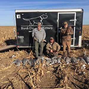 Texas USA Hunting Sandhill Crane