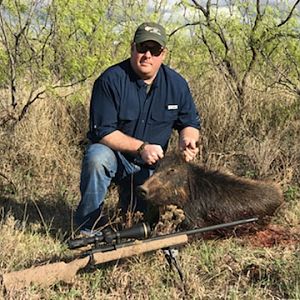 Texas USA Hunt Hog