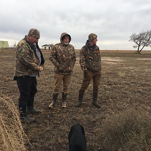 Bird Hunting Texas USA