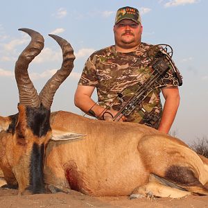 Bow Hunt Red Hartebeest in South Africa