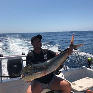 Dorado Fish Fishing South Africa