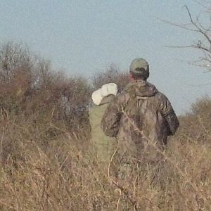 Hunting Cape Buffalo