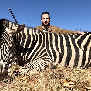 Hunt Burchell's Plain Zebra