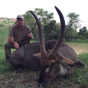 Hunting Waterbuck in Zimbabwe