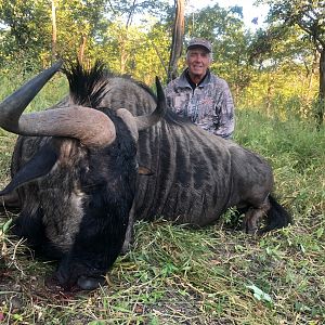 Zimbabwe Hunt Blue Wildebeest