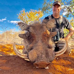 South Africa Bow Hunting Warthog