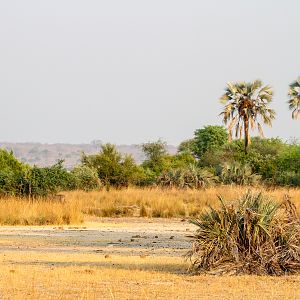 Mahango National Park Namibia
