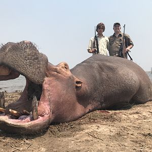 Hunt Hippo in Zimbabwe