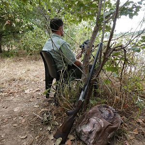 Zambia Hunting Crocodile