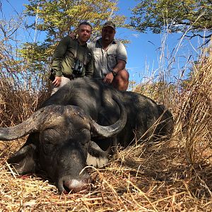 Hunting Buffalo in Zambia