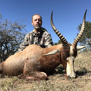 South Africa Hunt Blesbok