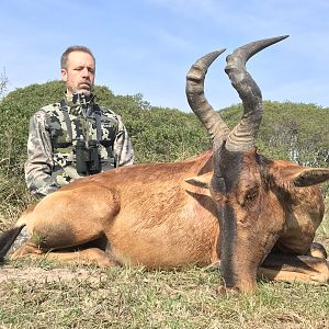 Hunt Red Hartebeest in South Africa