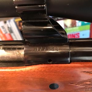 Winchester Model 70 Rifle in .300 Win Mag