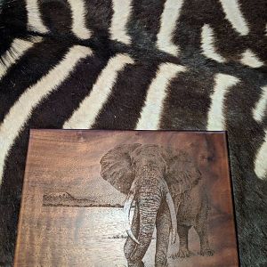 Elephant Scrimshaw Art Box