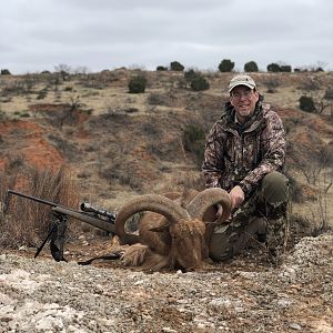 Hunting Aoudad inTexas USA