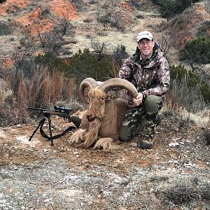 Aoudad Hunting Texas USA