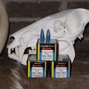 .338 Barnes 185gr XBT Bullets