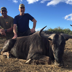 Blue Wildebeest Hunt South Africa