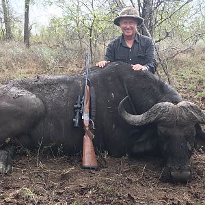 Hunt Cape Buffalo