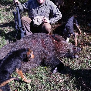 Hunt Boar in Romania