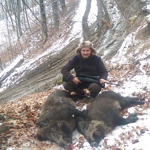 Hunting Boar in Romania