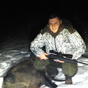 Boar Hunt Romania