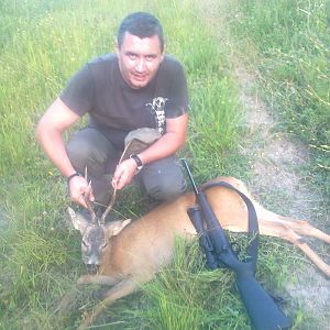 Romania Hunt Roe Deer