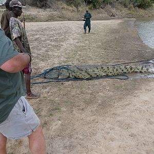 Hunting Crocodile in Zambia