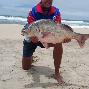 Steenbra Fishing Namibia