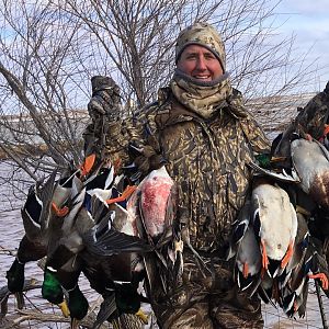 St. Paul Island, Alaska Hunting King Eider Sea Duck