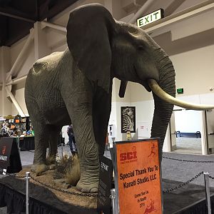 Elephant Full Mount Taxidermy