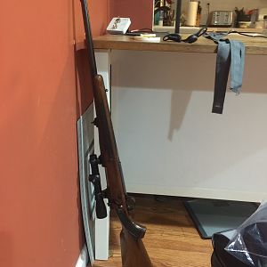 1965 model 70 375 H&H Rifle